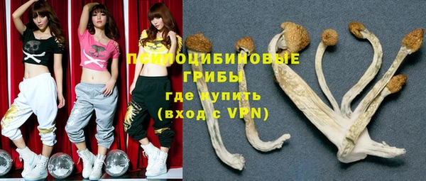 2c-b Белокуриха