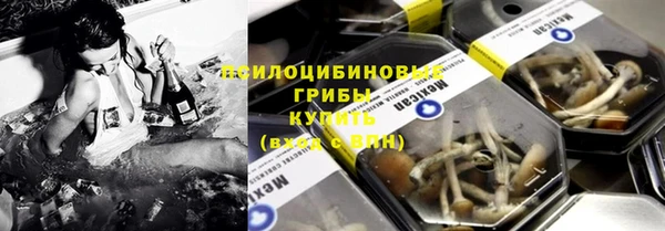 2c-b Белокуриха