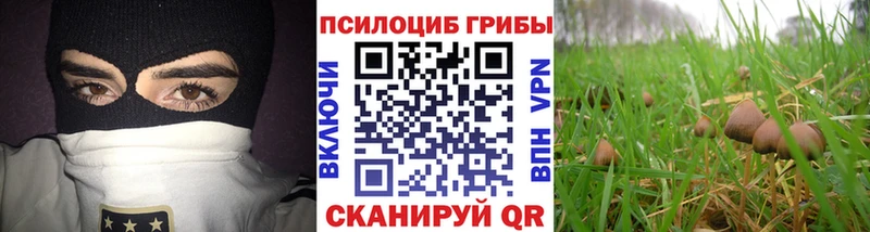 купить наркотики цена  Томск  Галлюциногенные грибы Psilocybine cubensis 