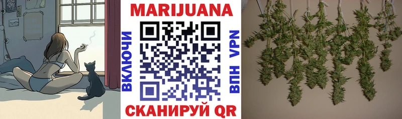 Марихуана семена  купить  цена  ОМГ ОМГ ТОР  Томск 